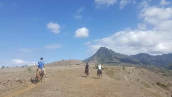 Leko Lembo Guesthouse Keli المظهر الخارجي الصورة