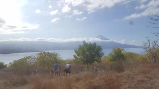 Leko Lembo Guesthouse Keli المظهر الخارجي الصورة